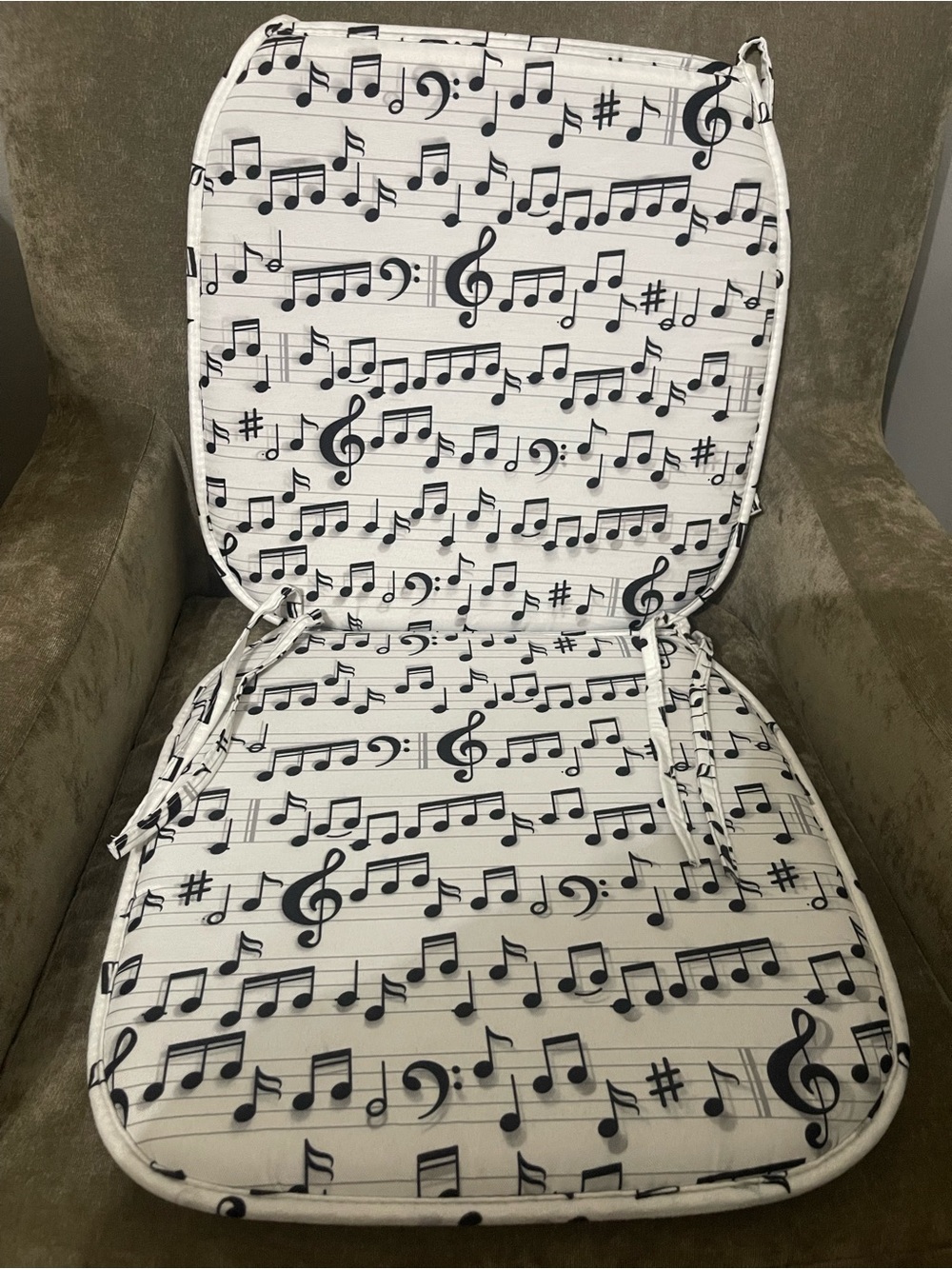 Musical Chair Cushions
